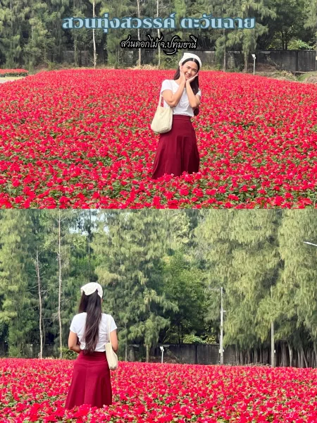 สวนดอกไม้