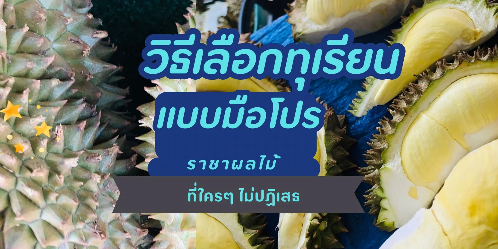 วิธีเลือกซื้อทุเรียนแบบมือโปร ราชาผลไม้ที่ใคร ๆ ไม่ปฎิเสธ