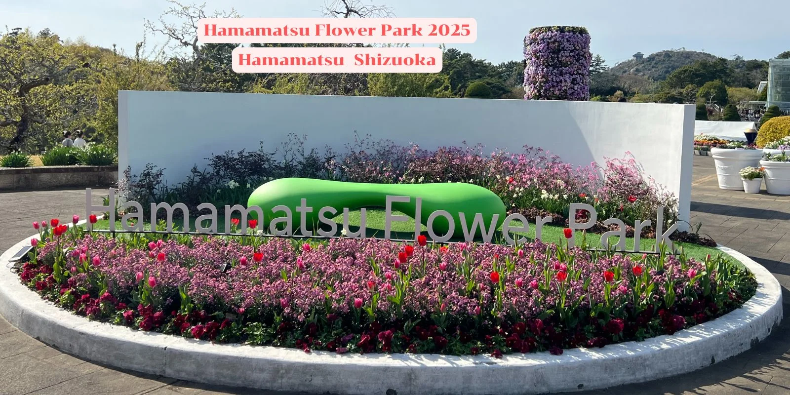 Hamamatsu Flower Park 2025, Hamamatsu Shizuoka ( มีคลิป )