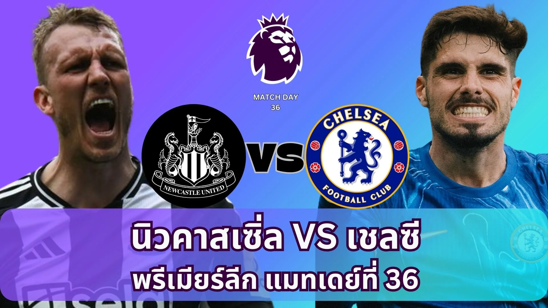 ดูบอลสด นิวคาสเซิ่ล VS เชลซี วิเคราะห์ พรีเมียร์ลีก แมทช์เดย์ที่ 36 หกโมงเย็นวันนี้ 11 พฤษภาคม 2568
