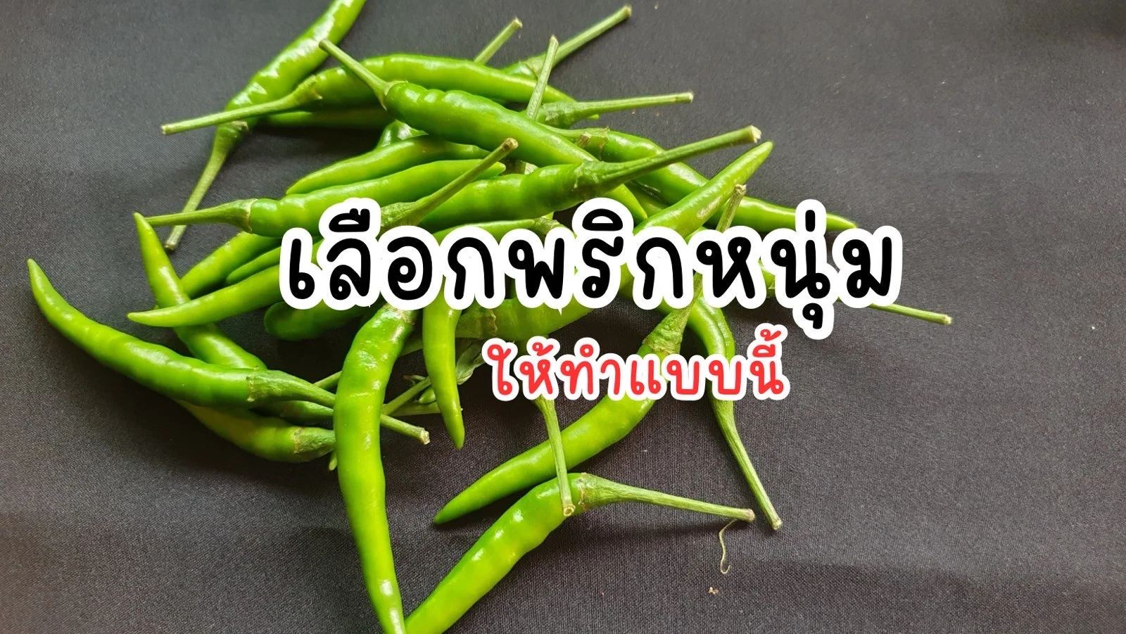 10 ทริคเลือกพริกหนุ่มอ่อน สีเขียวสดใส เก็บมาใหม่ๆ ดูยังไงดี