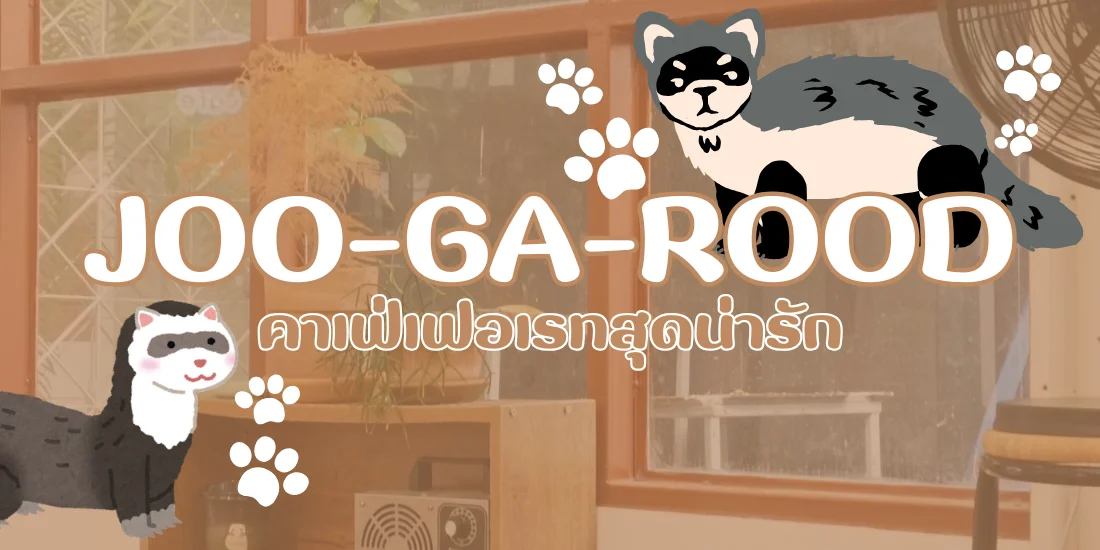 JOO-GA-ROOD คาเฟ่เฟอเรทสุดน่ารัก เชียงใหม่