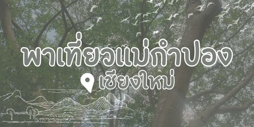 พาเที่ยวแม่กำปอง เชียงใหม่