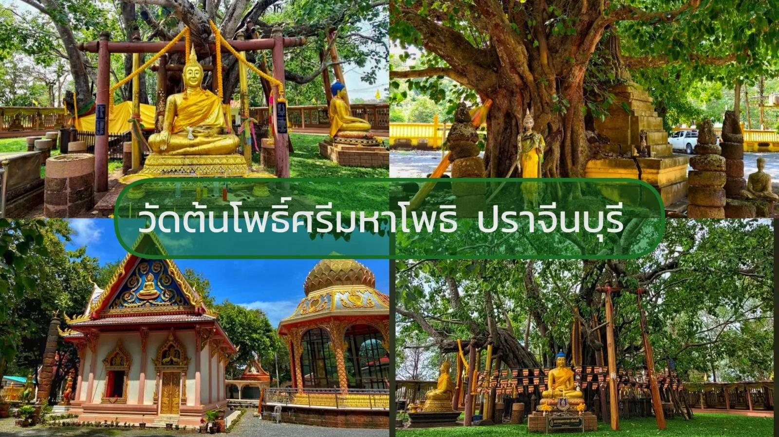 ขอบคุณรูปภาพ ว่างกะเที่ยว