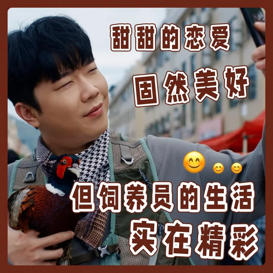ซีรีส์