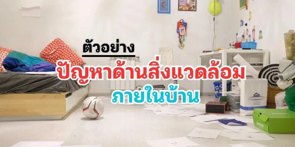 สิ่งแวดล้อมภายในบ้าน