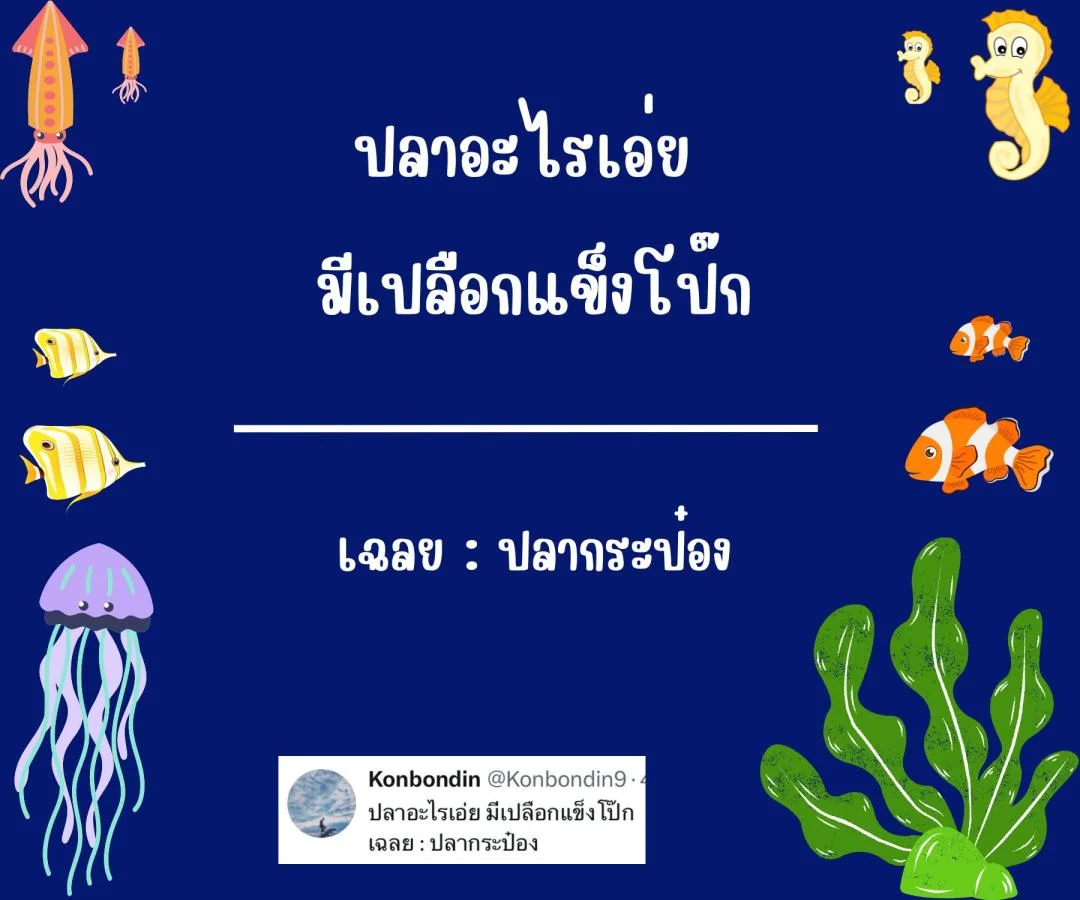 คำถามอะไรเอ่ย กวนๆ ฮาๆ ชวนคิด ชวนเล่น หมวดหมู่ปลา ปรา ปา