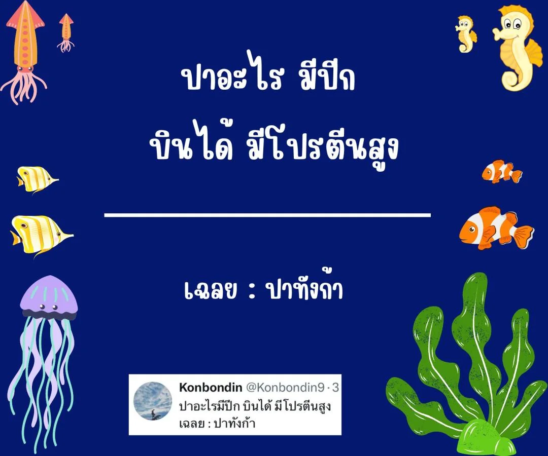 คำถามอะไรเอ่ย กวนๆ ฮาๆ ชวนคิด ชวนเล่น หมวดหมู่ปลา ปรา ปา
