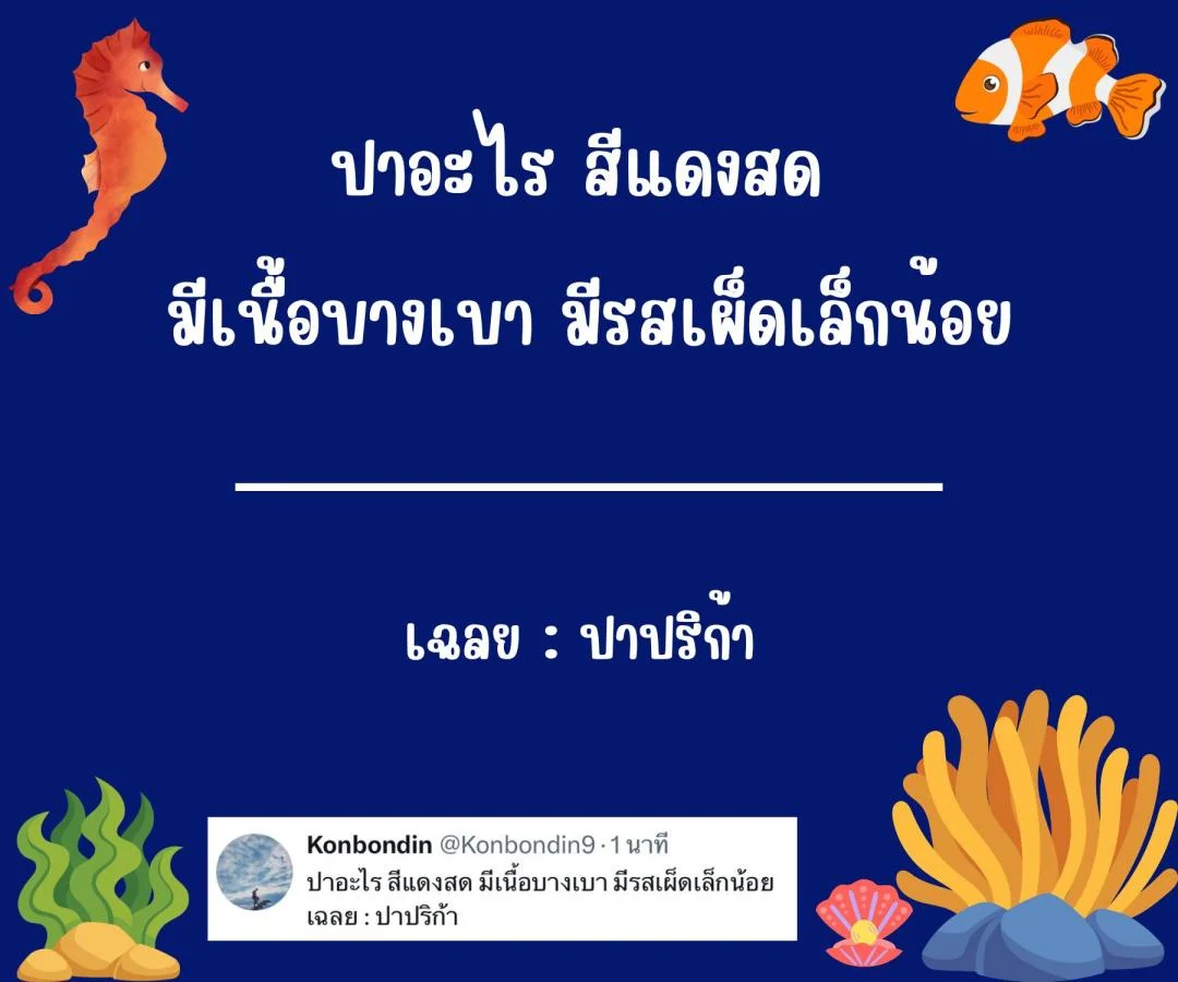 คำถามอะไรเอ่ย กวนๆ ฮาๆ ชวนคิด ชวนเล่น หมวดหมู่ปลา ปรา ปา
