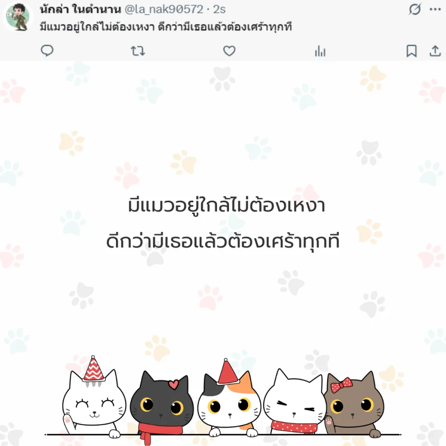 แมว ทาสแมว คนรักแมว
