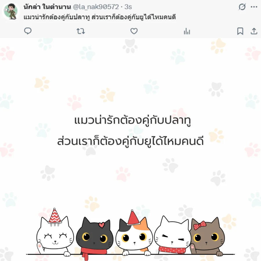 แมว ทาสแมว คนรักแมว