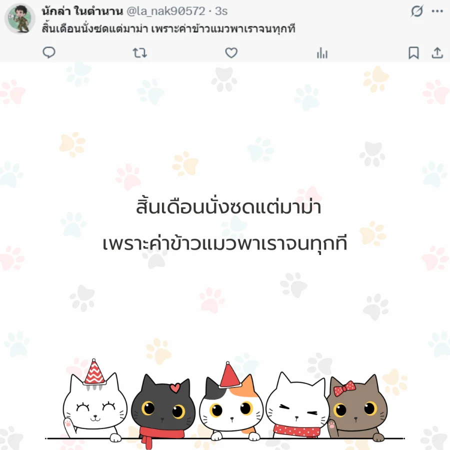 แมว ทาสแมว คนรักแมว
