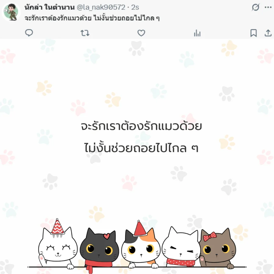 แมว ทาสแมว คนรักแมว