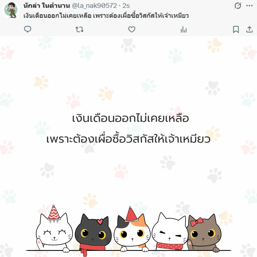 แมว ทาสแมว คนรักแมว