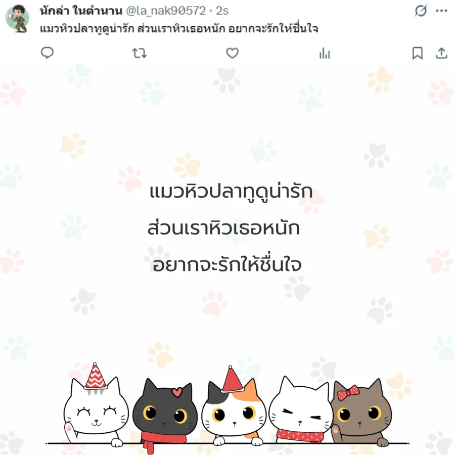 แมว ทาสแมว คนรักแมว