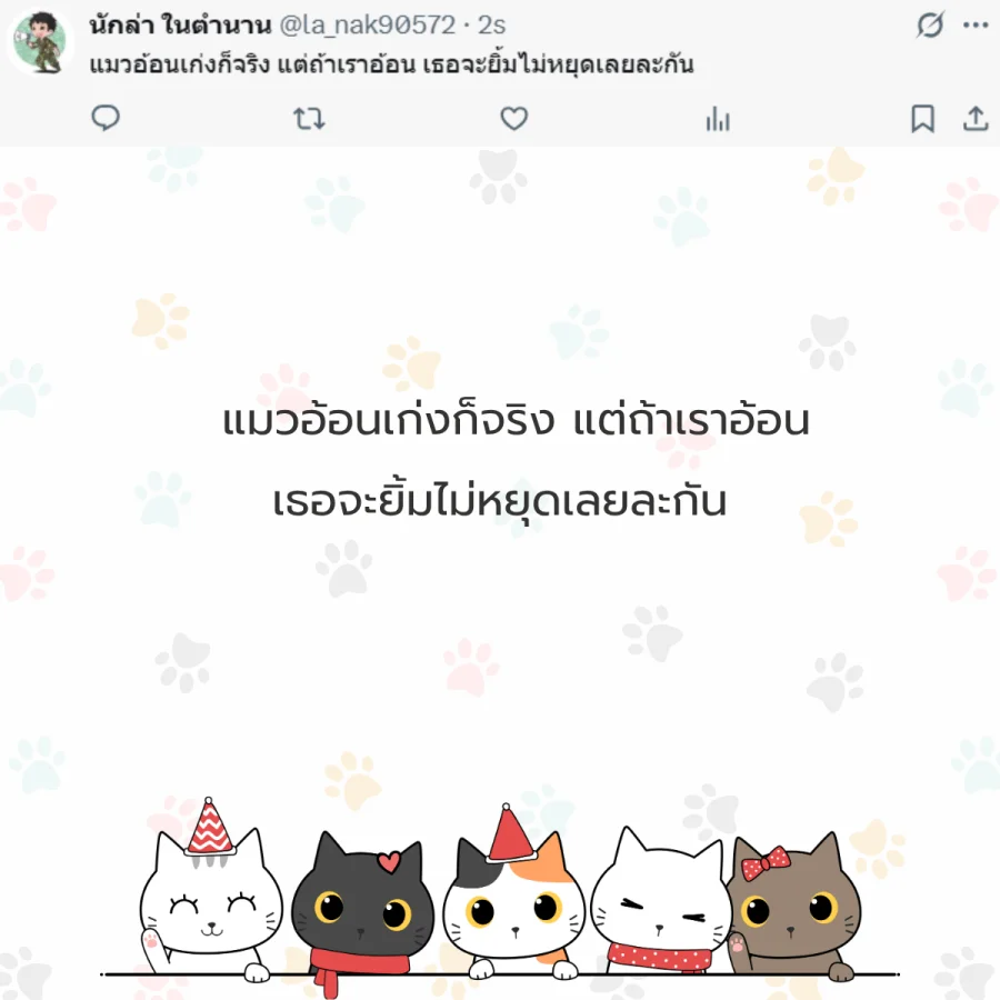 แมว ทาสแมว คนรักแมว