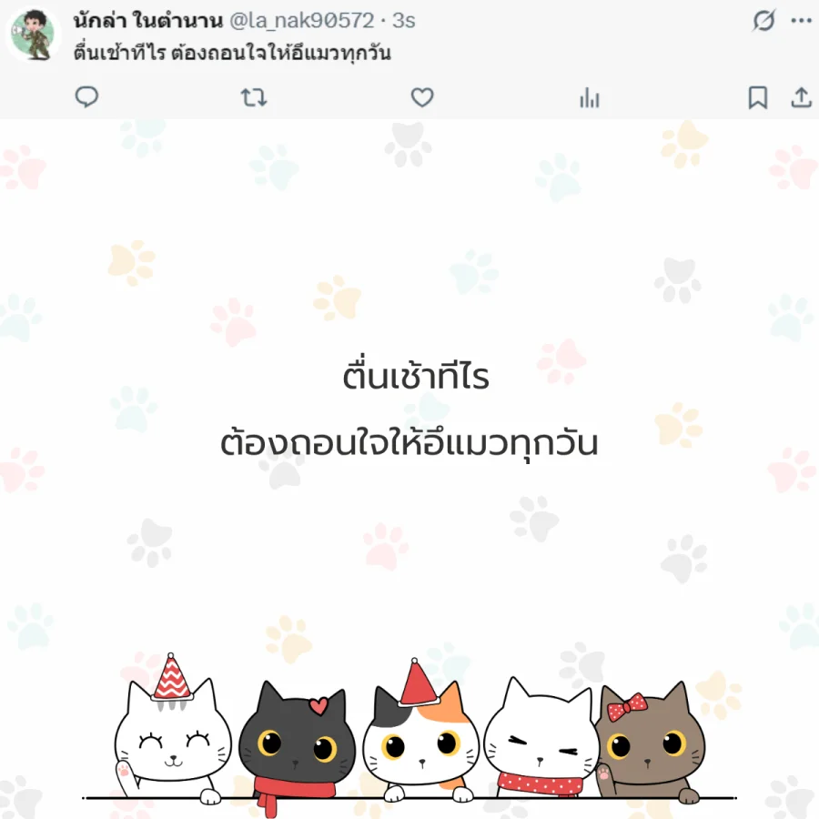 แมว ทาสแมว คนรักแมว