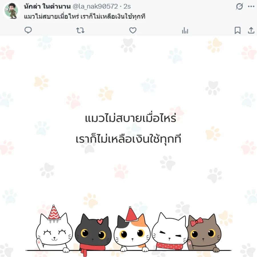 แมว ทาสแมว คนรักแมว