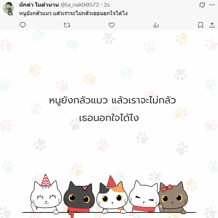 แมว ทาสแมว คนรักแมว