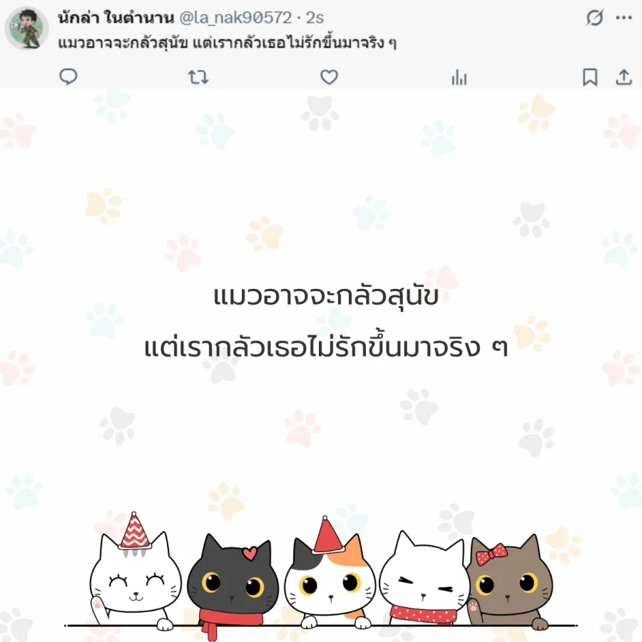 แมว ทาสแมว คนรักแมว