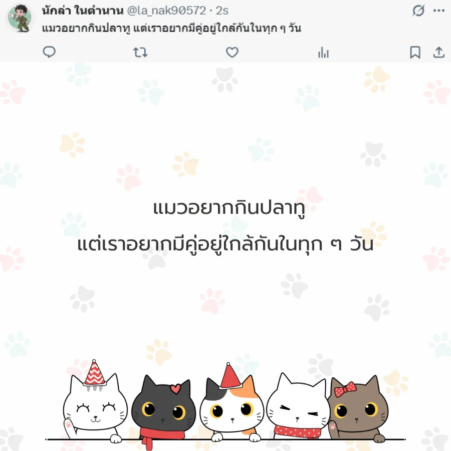 แมว ทาสแมว คนรักแมว