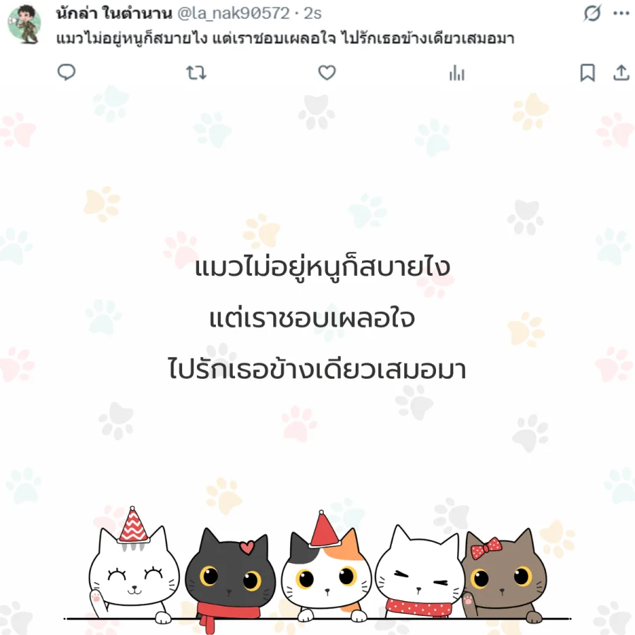 แมว ทาสแมว คนรักแมว
