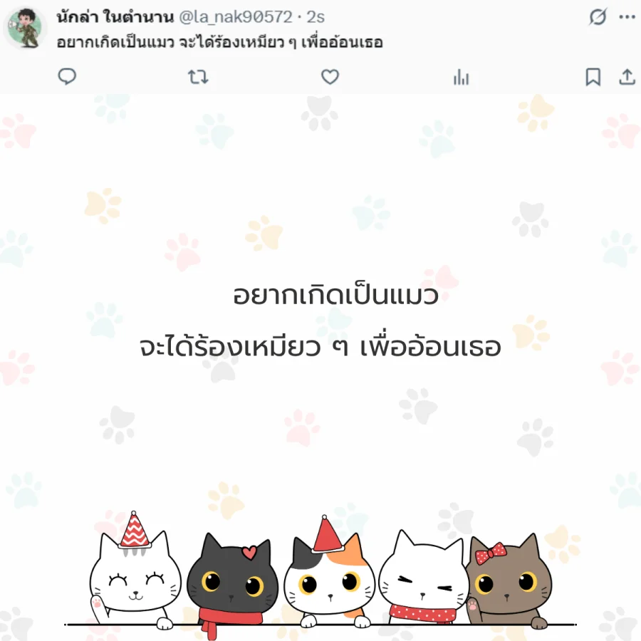 แมว ทาสแมว คนรักแมว