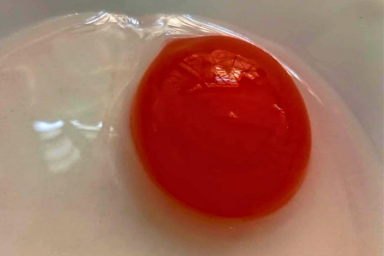 จุติมาไข่เค็มไชยา สุราษฎร์ธานี 