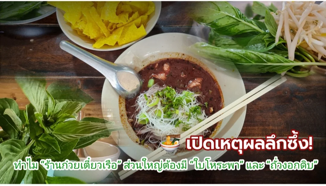 ทำไม ร้านก๋วยเตี๋ยวเรือ ส่วนใหญ่ต้องมี ใบโหระพา-ถั่วงอกดิบ