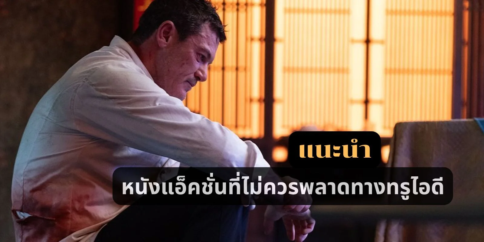 แนะนำหนังแอ็คชั่นที่ไม่ควรพลาดทางทรูไอดี
