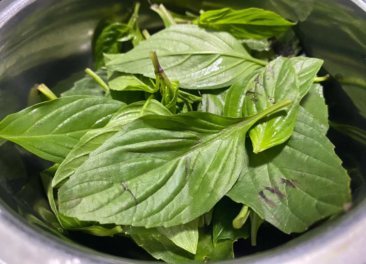 Một món ăn dễ làm: Trứng tráng húng quế. Mềm, thơm mùi húng quế và ngon tuyệt.