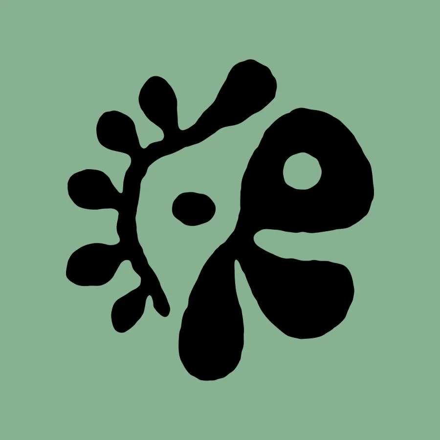 สัญลักษณ์วง CORTIS