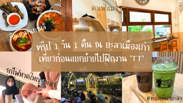 ทริป 1 วัน 1 คืน ยะลาเมืองเก่า ทริปก่อนแยกย้ายไปฝึกงาน เที่ยวคาเฟ่แมว กินอาหารเกาหลี #ท่องเที่ยว