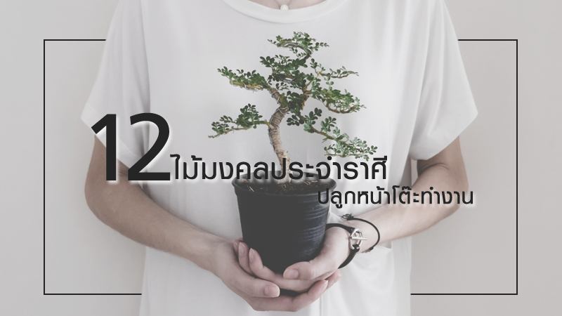 รวม 12 ของมงคลเสริมดวง สำหรับ 12 ราศี วางบนโต๊ะทำงานแล้วดี ช่วยเรียกทรัพย์ เรียกโชค!! รวม 12 ของมงคลเสริมดวง สำหรับ 12 ราศี วางบนโต๊ะทำงานแล้วดี ช่วยเรียกทรัพย์ เรียกโชค!!
