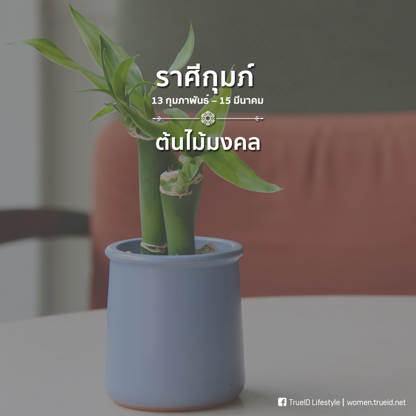 รวม 12 ของมงคลเสริมดวง สำหรับ 12 ราศี วางบนโต๊ะทำงานแล้วด...