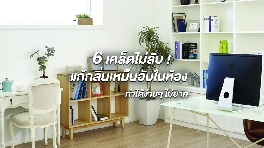 6 เคล็ดไม่ลับ ! แก้กลิ่นเหม็นอับในห้อง ทำได้ง่ายๆ ไม่ยาก 6 เคล็ดไม่ลับ ! แก้กลิ่นเหม็นอับในห้อง ทำได้ง่ายๆ ไม่ยาก