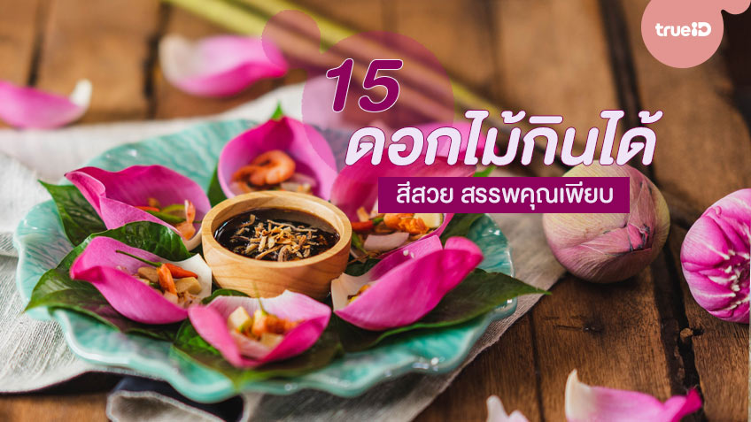 15 ดอกไม้กินได้ สีสวย แต่งจานได้ ทำอาหารก็ดี สรรพคุณเพียบ! 15 ดอกไม้กินได้ สีสวย แต่งจานได้ ทำอาหารก็ดี สรรพคุณเพียบ!