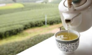 5 คุณประโยชน์ของ ชาขาว ชาจากธรรมชาติ บำรุงสุขภาพคุณ
