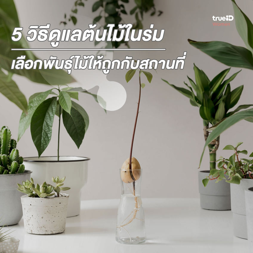 My Image 77