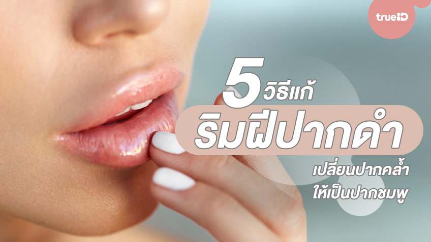 5 วิธีแก้ริมฝีปากดำ เปลี่ยนปากคล้ำ ให้เป็นปากชมพู 5 วิธีแก้ริมฝีปากดำ เปลี่ยนปากคล้ำ ให้เป็นปากชมพู