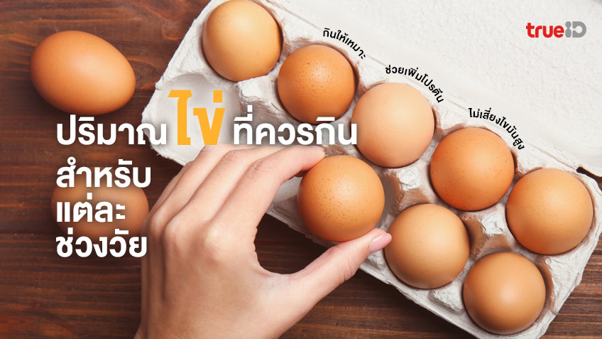 ปริมาณไข่ที่ควรกิน สำหรับแต่ละช่วงวัย ช่วยเพิ่มโปรตีน ไม่เสี่ยงไขมัน ในเลือดสูง