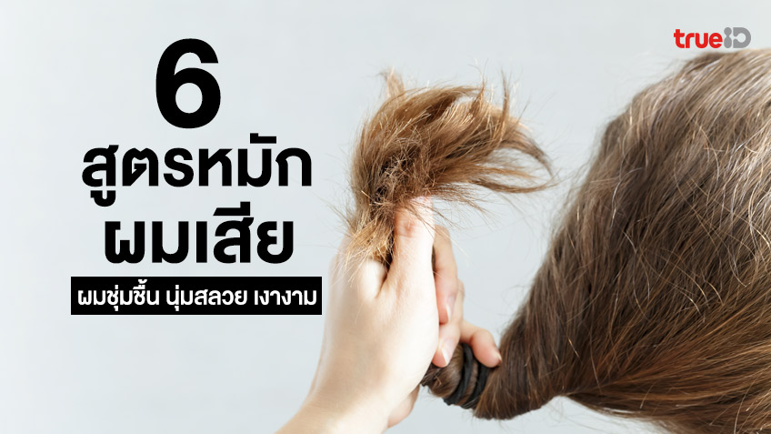 6 สูตรหมักผมเสีย เติมความชุ่มชื้น แก้ผมแห้งเสีย ทำให้ผมนุ่มสลวย เงางาม