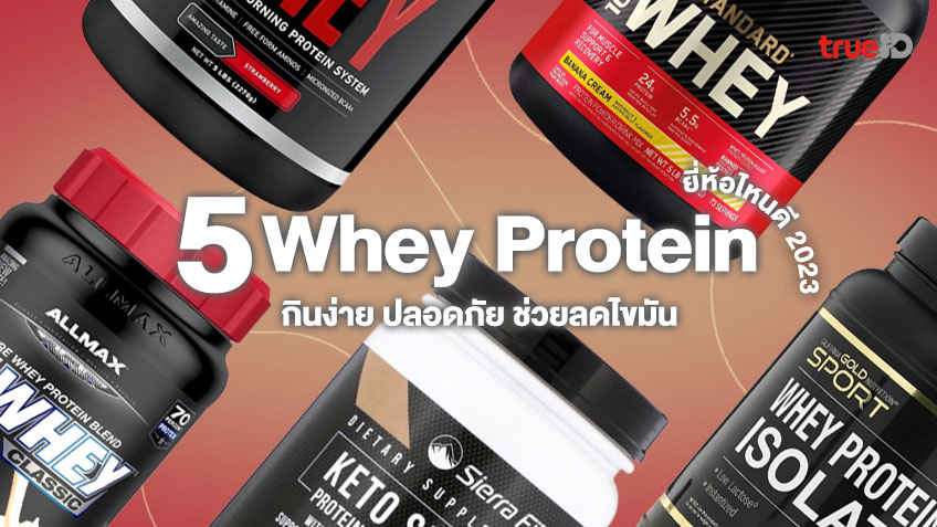 5 Whey Protein ยี่ห้อไหนดี 2023 รวมเวย์โปรตีน กินง่าย ปลอดภัย ช่วยลดไขมัน