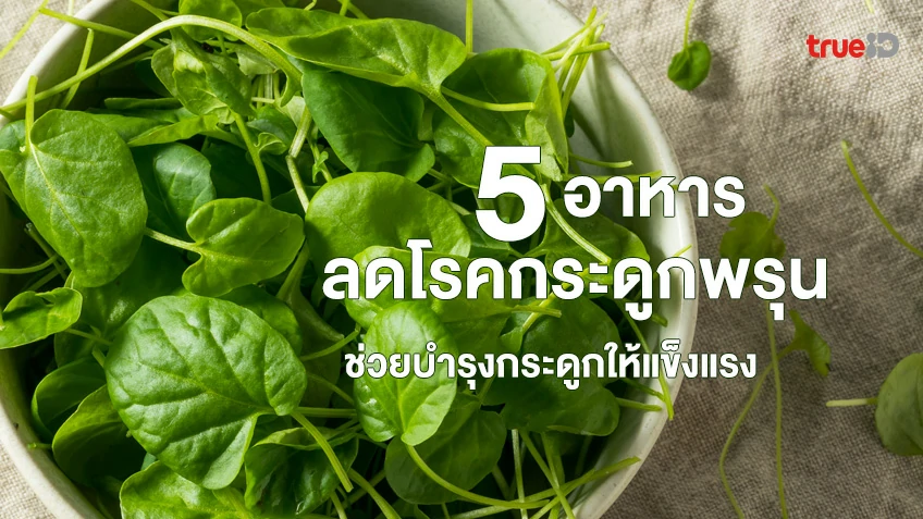 แคลเซียม - รวมสาระดีๆ ของผู้หญิง ที่เกี่ยวข้องกับ แคลเซียม - รวมสาระดีๆ ของผู้หญิง ที่เกี่ยวข้องกับ