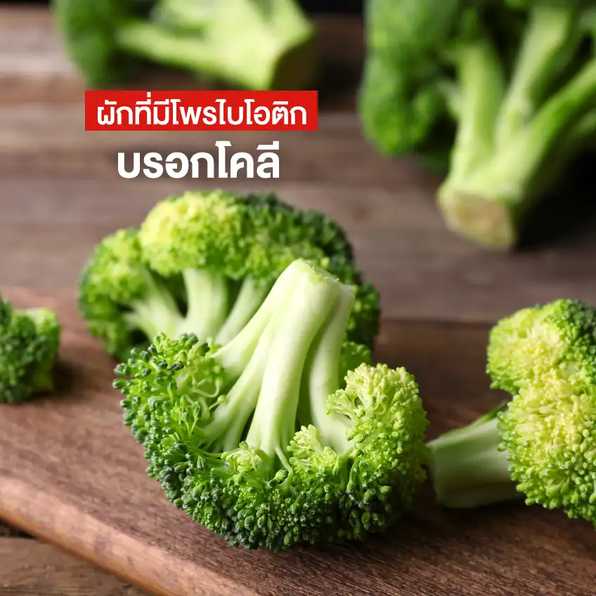 โพรไบโอติก ในอาหาร ผักที่มีโพรไบโอติก