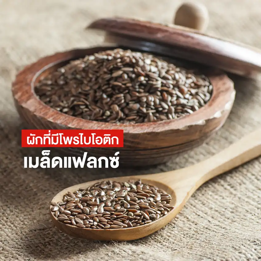 โพรไบโอติก ในอาหาร ผักที่มีโพรไบโอติก