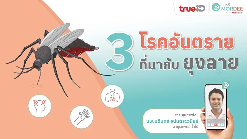 3 โรคร้ายจาก #ยุงลาย 🦟 ควรเฝ้าระวัง!  ก่อนอันตรายถึงชีวิต❗