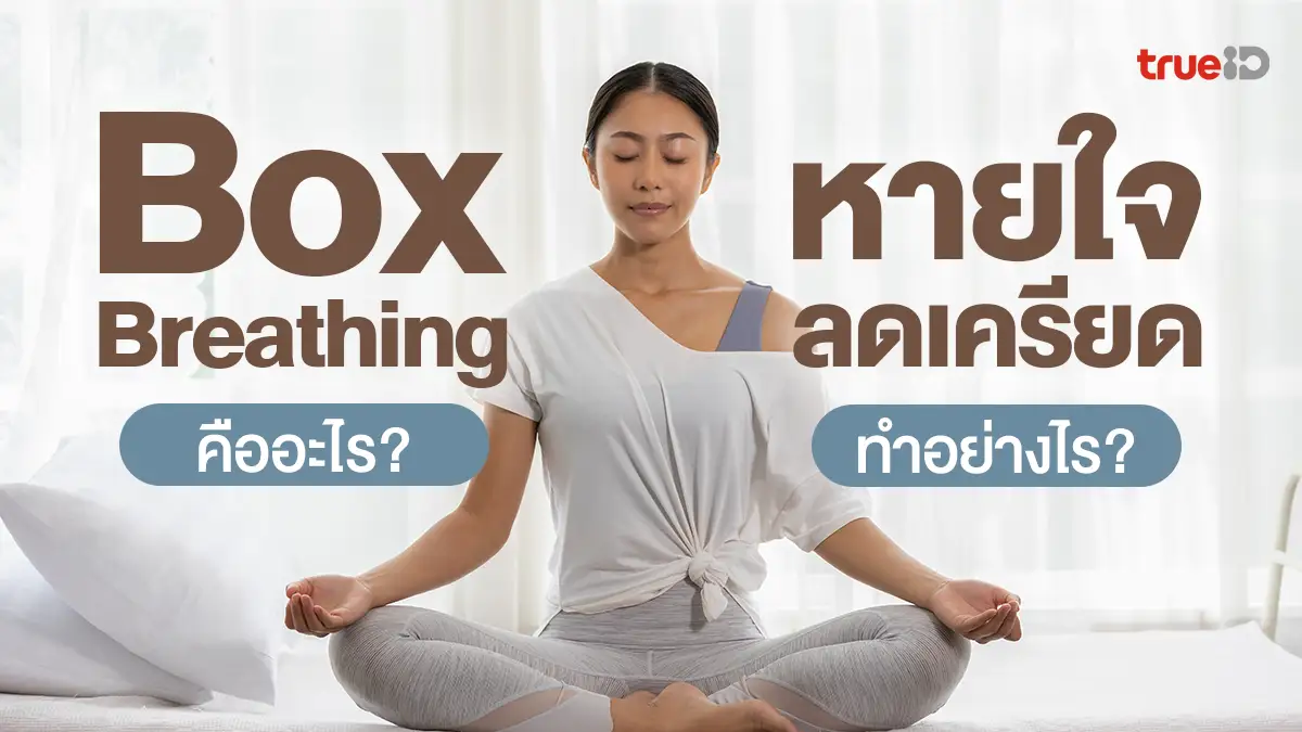 Box Breathing คืออะไร? ฝึกเทคนิคการหายใจ เปลี่ยนความเครียดเป็นความสงบ