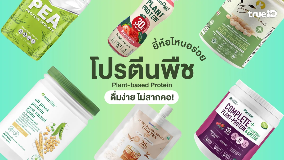 6 โปรตีนพืช Plant-based Protein ยี่ห้อไหนอร่อย 2026 ดื่มง่าย ไม่สากคอ!